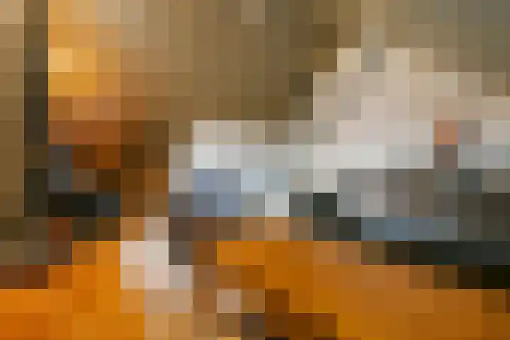 Strengpers 19 Druten thumbnail 25