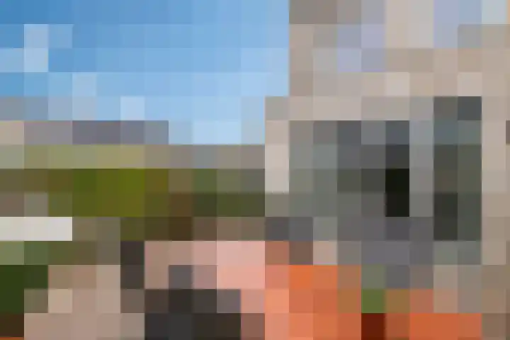 Strengpers 19 Druten thumbnail 26