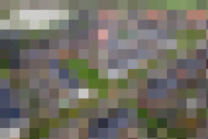 Strengpers 19 Druten thumbnail 34