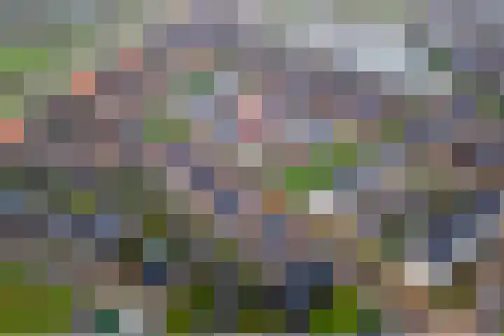 Strengpers 19 Druten thumbnail 35