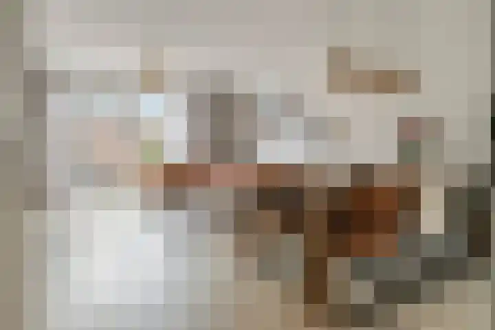 Strengpers 19 Druten thumbnail 8
