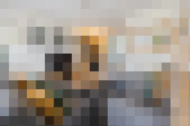 Strengpers 3 Druten thumbnail 12