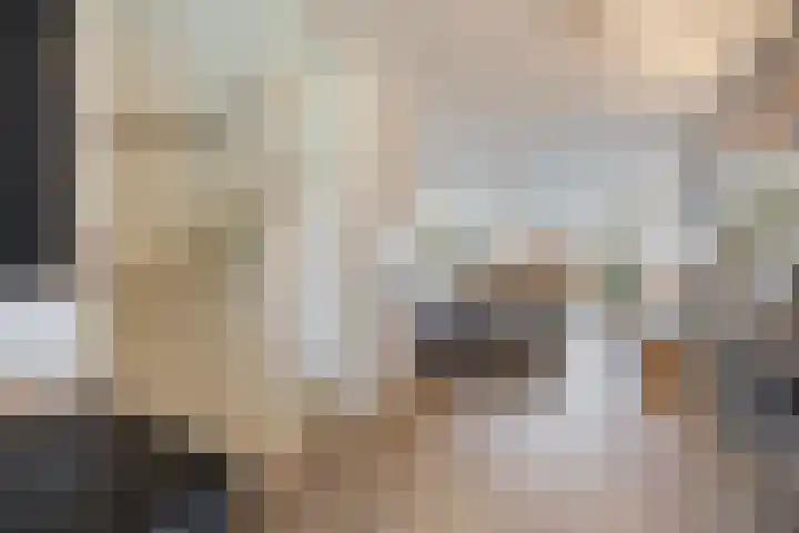 Strengpers 3 Druten thumbnail 17