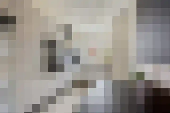 Strengpers 3 Druten foto 2