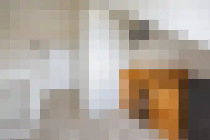 Strengpers 3 Druten thumbnail 27