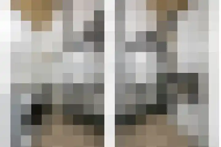 Strengpers 3 Druten thumbnail 29