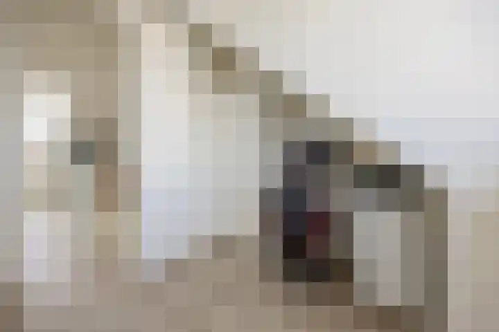 Strengpers 3 Druten thumbnail 30