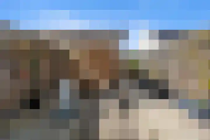 Strengpers 3 Druten thumbnail 34