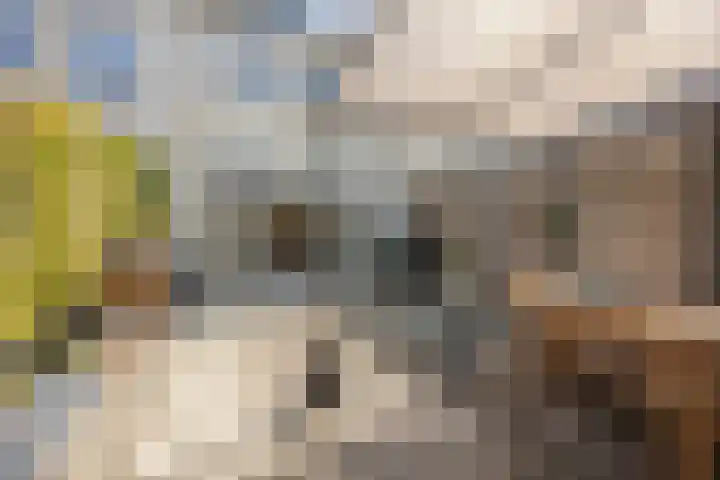 Strengpers 3 Druten thumbnail 4