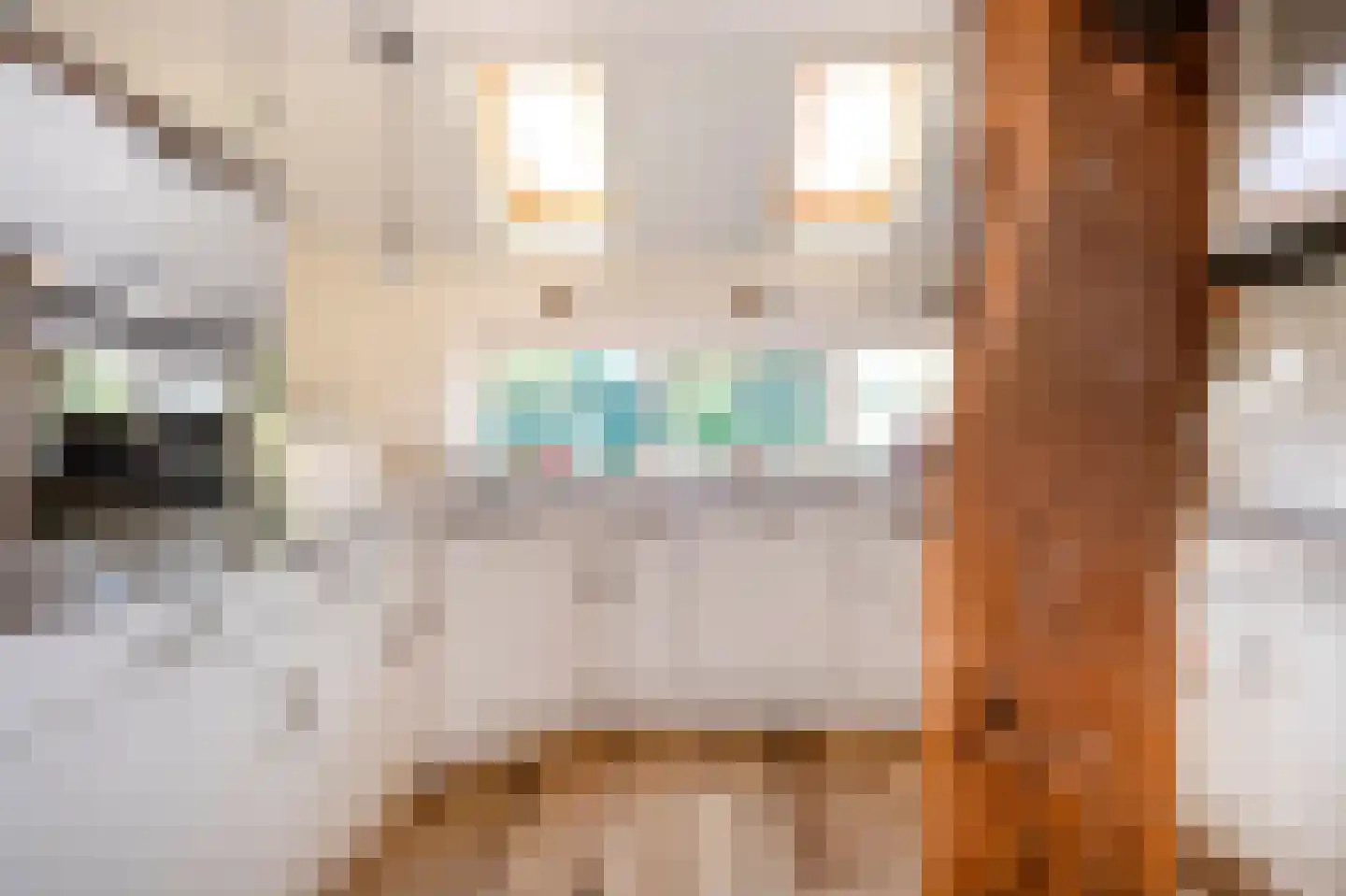Strenkhaarsweg 9 Lemelerveld thumbnail 14