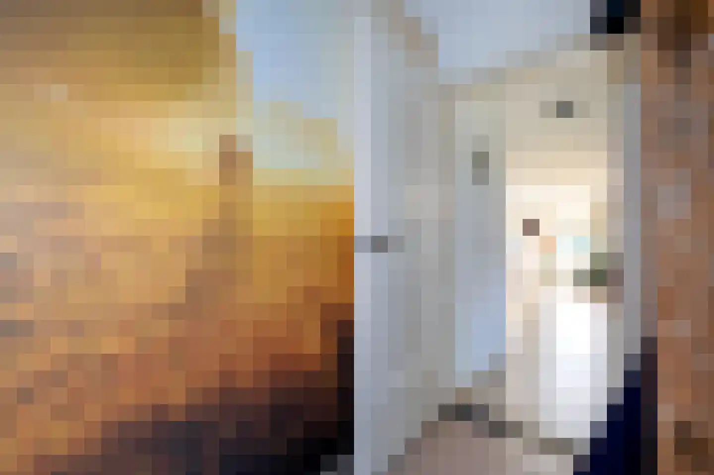Strenkhaarsweg 9 Lemelerveld thumbnail 20