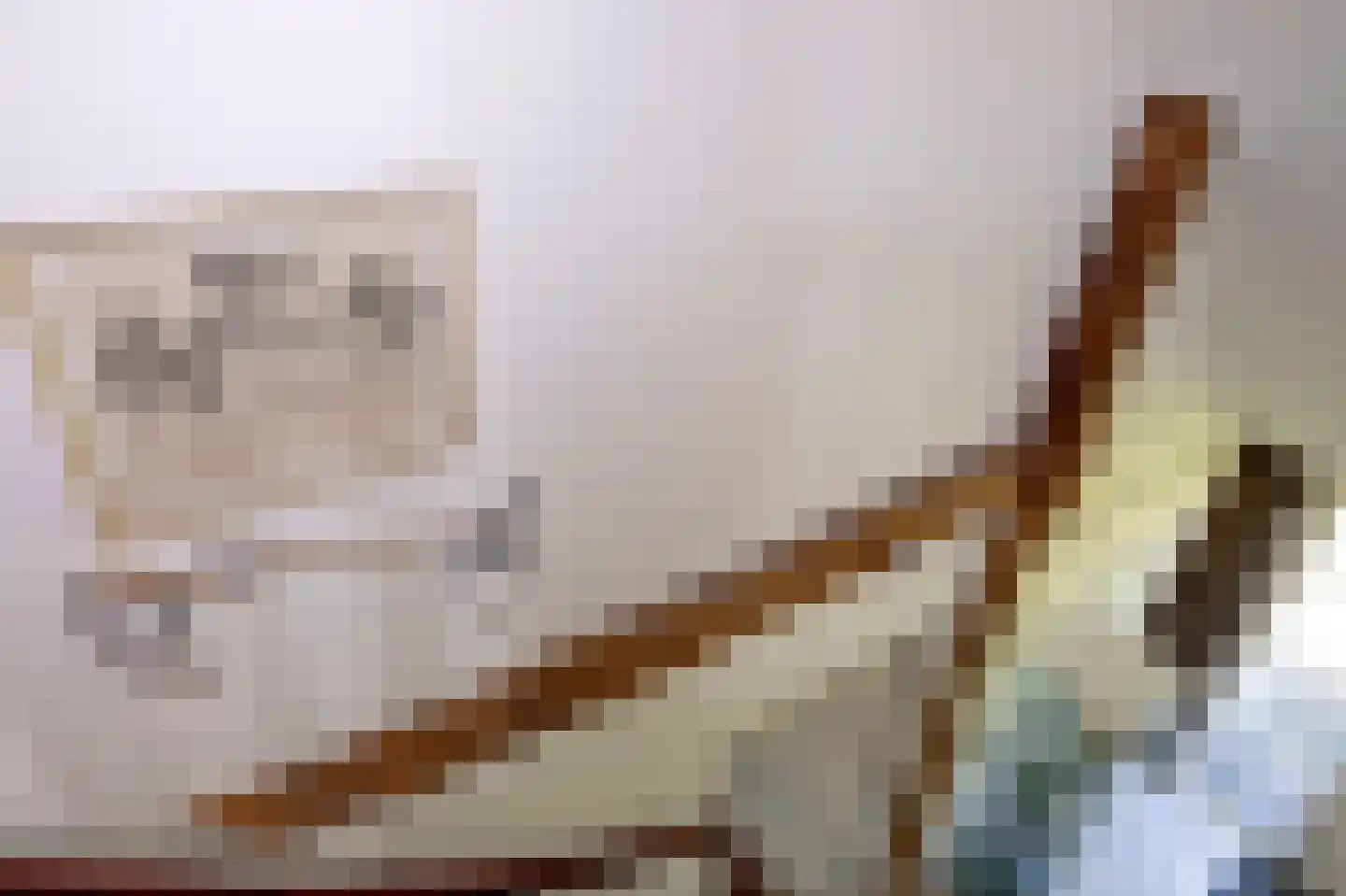 Strenkhaarsweg 9 Lemelerveld thumbnail 30