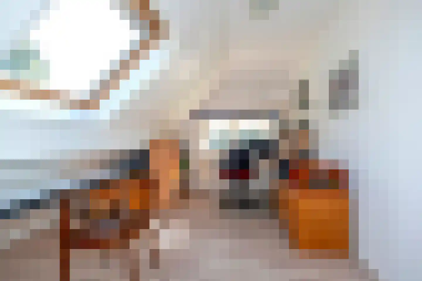 Strenkhaarsweg 9 Lemelerveld thumbnail 37