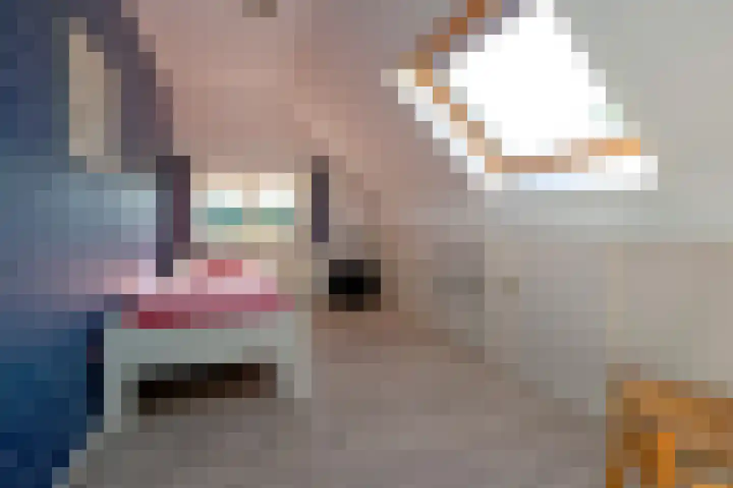 Strenkhaarsweg 9 Lemelerveld thumbnail 38