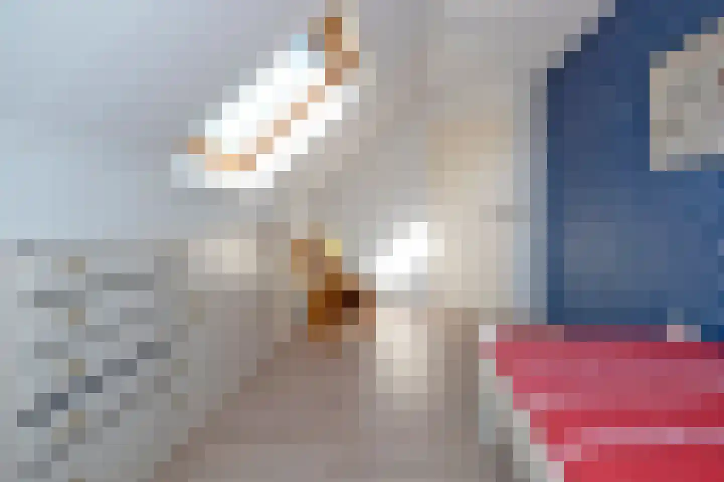 Strenkhaarsweg 9 Lemelerveld thumbnail 39