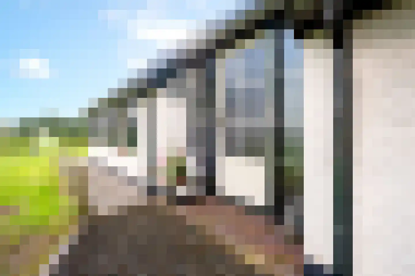 Strenkhaarsweg 9 Lemelerveld thumbnail 41