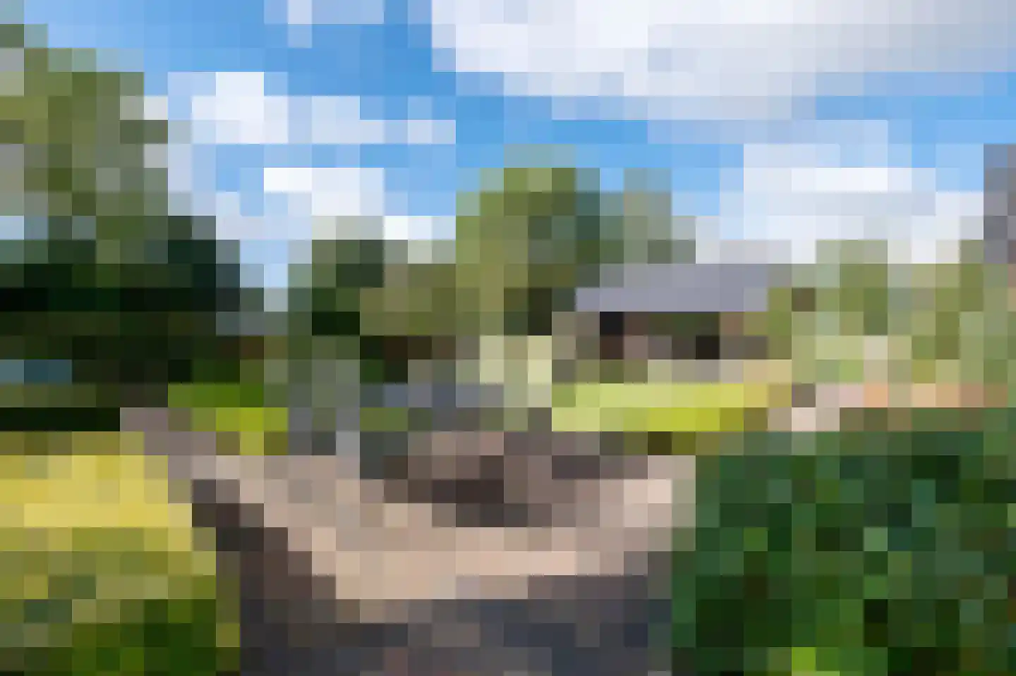 Strenkhaarsweg 9 Lemelerveld thumbnail 50
