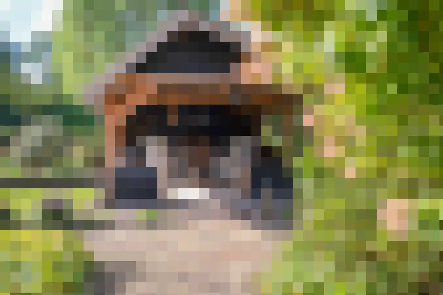 Strenkhaarsweg 9 Lemelerveld thumbnail 52
