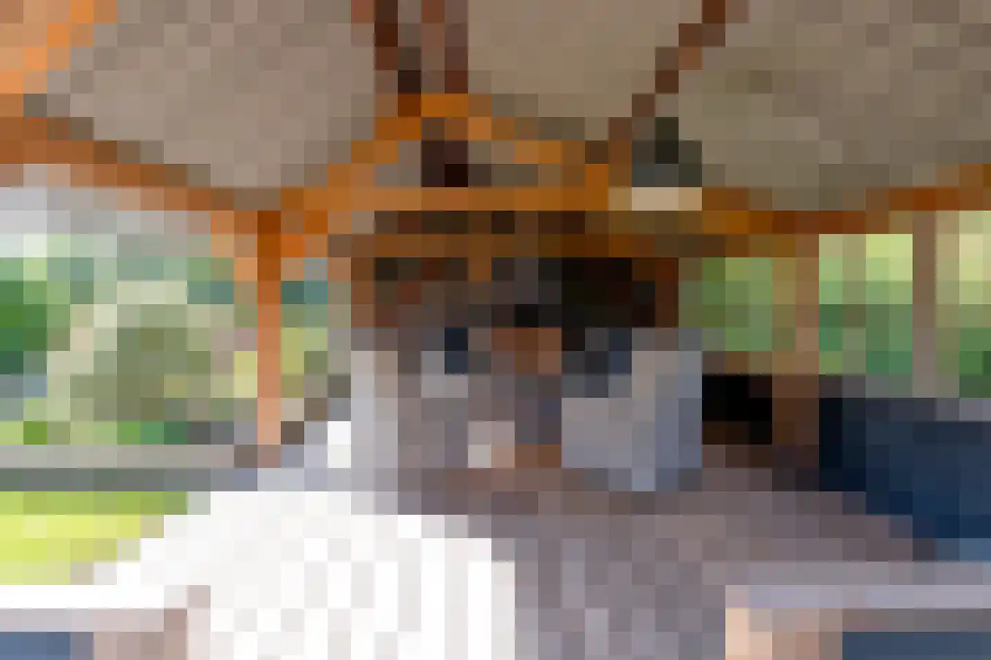 Strenkhaarsweg 9 Lemelerveld thumbnail 54