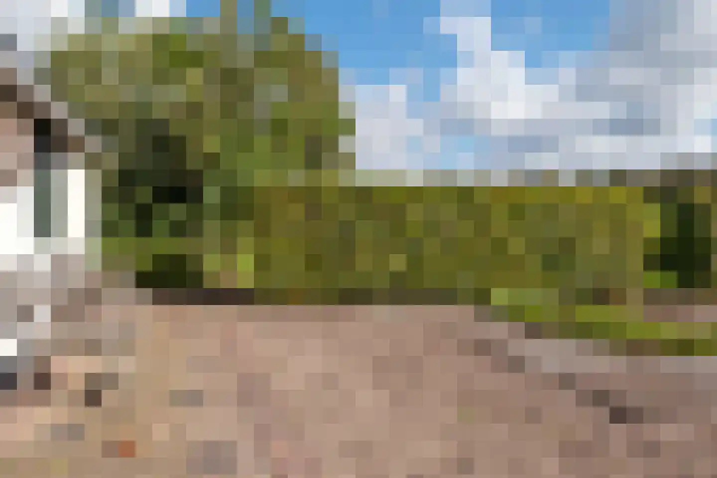 Strenkhaarsweg 9 Lemelerveld thumbnail 62