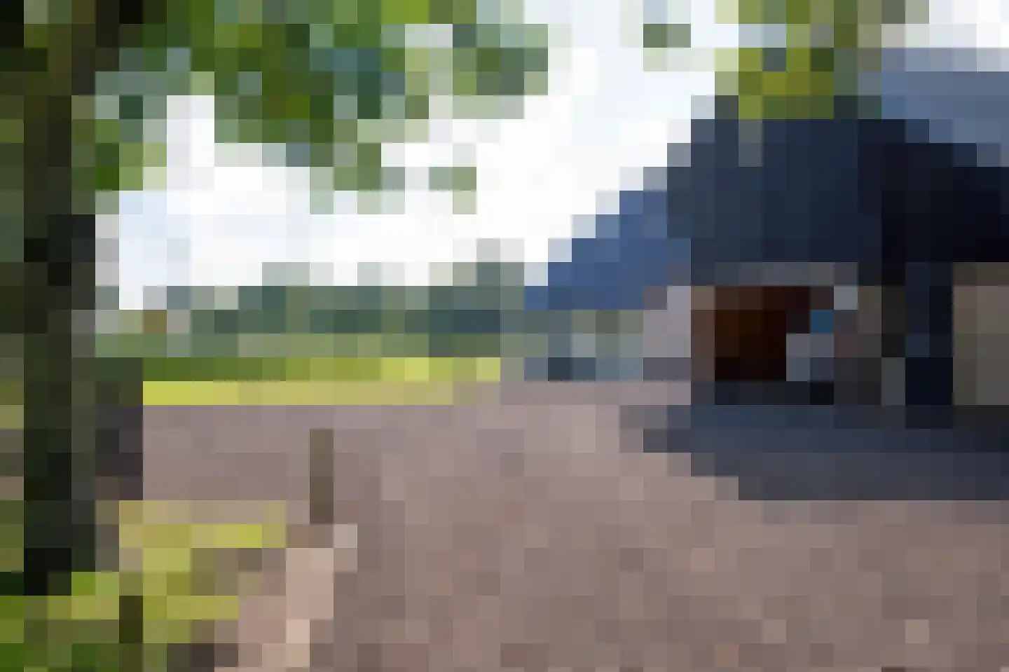 Strenkhaarsweg 9 Lemelerveld thumbnail 64