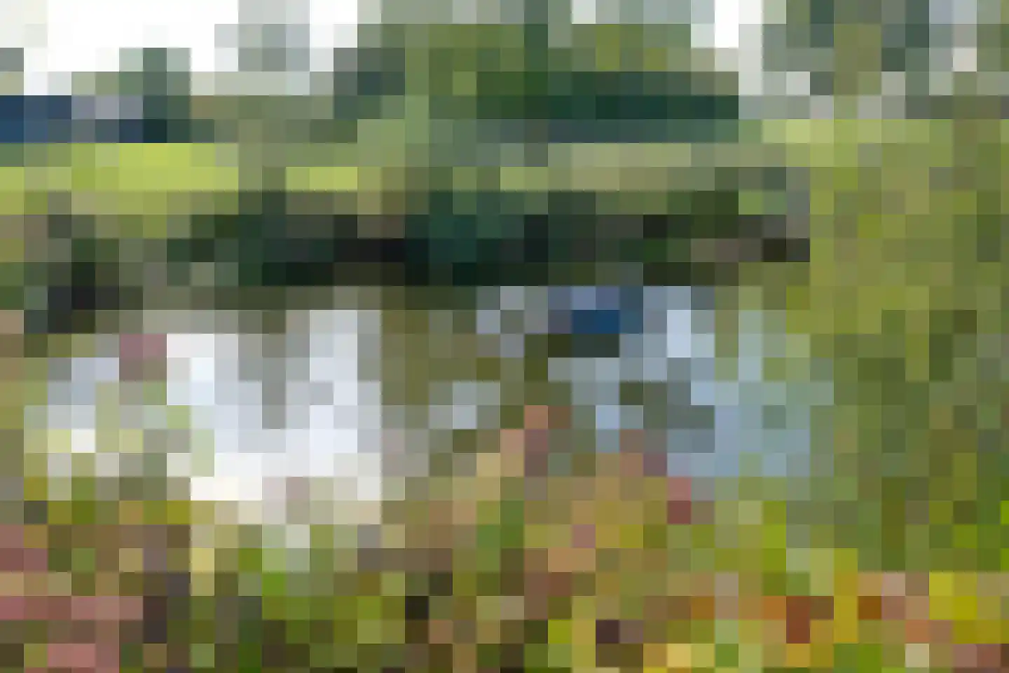 Strenkhaarsweg 9 Lemelerveld thumbnail 72
