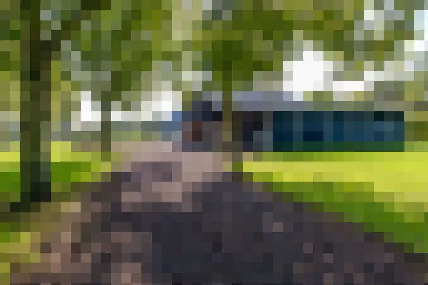 Strenkhaarsweg 9 Lemelerveld thumbnail 74