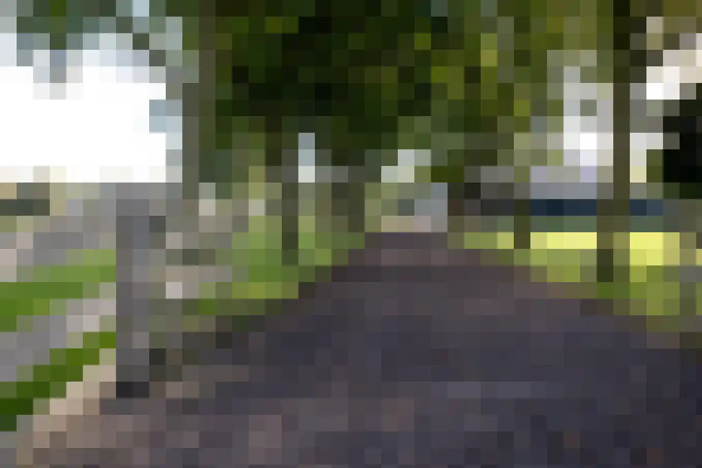 Strenkhaarsweg 9 Lemelerveld thumbnail 75