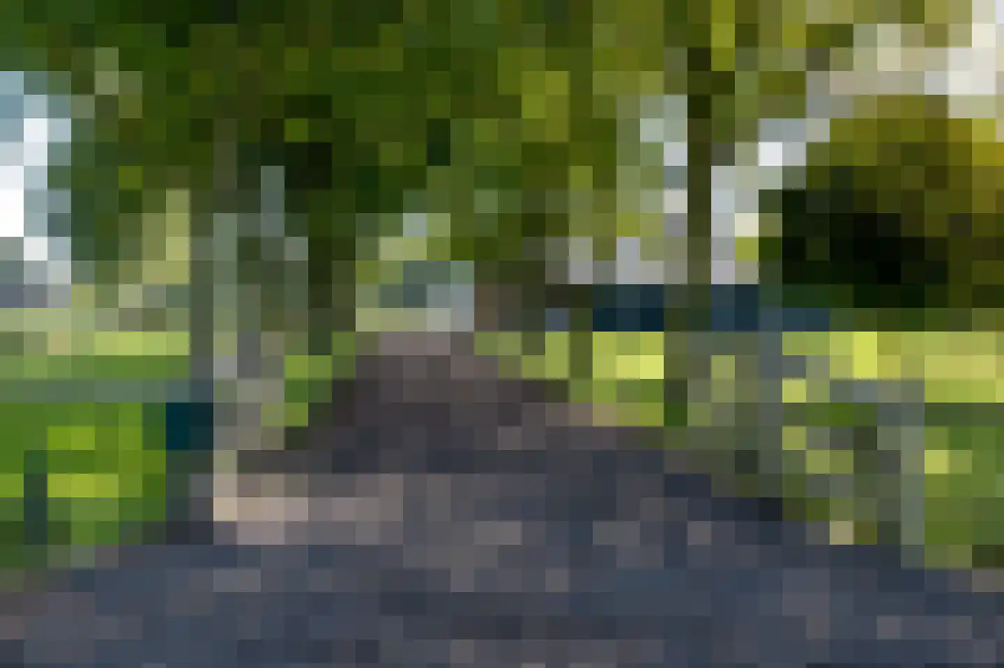 Strenkhaarsweg 9 Lemelerveld thumbnail 76