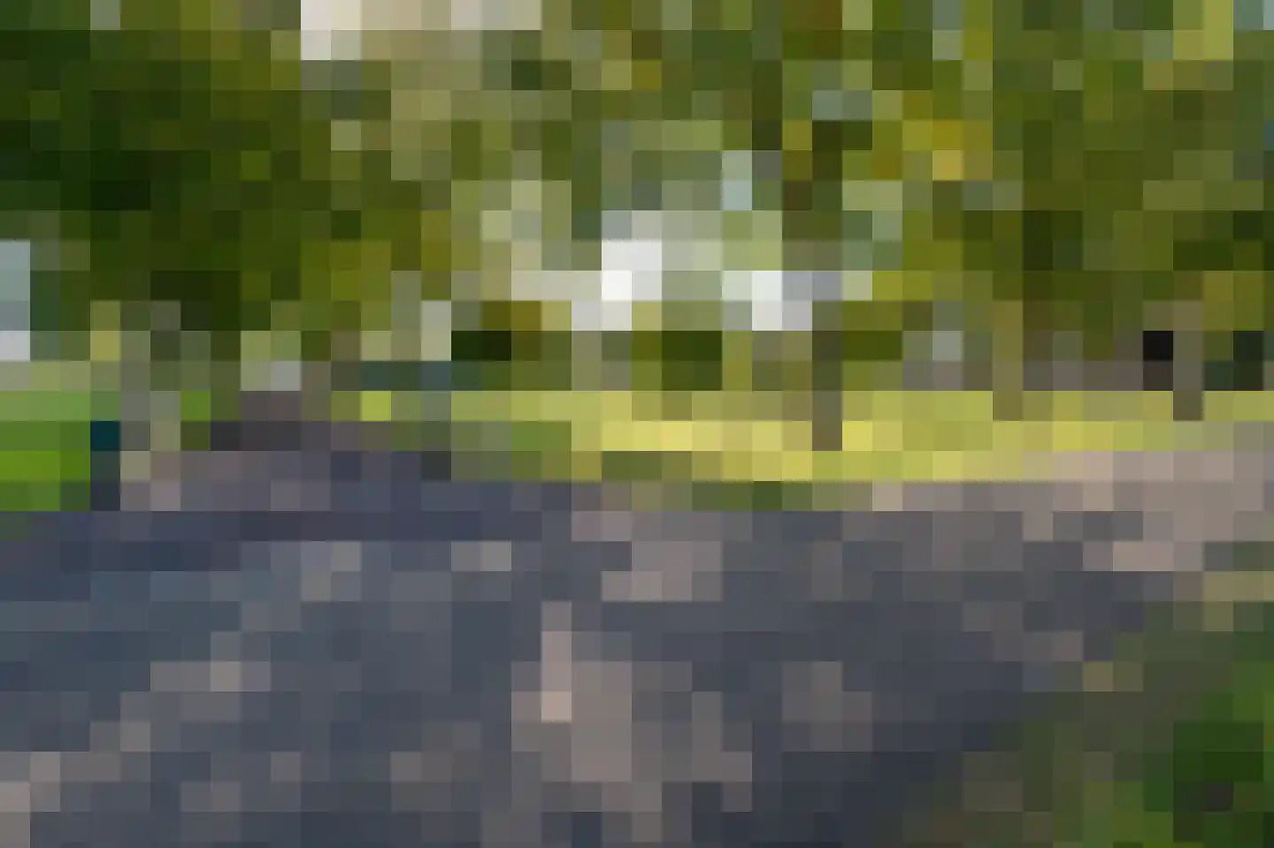 Strenkhaarsweg 9 Lemelerveld thumbnail 77