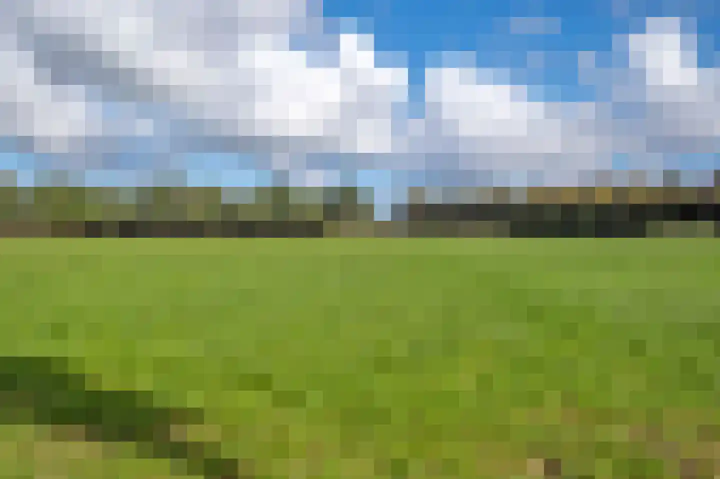Strenkhaarsweg 9 Lemelerveld thumbnail 80