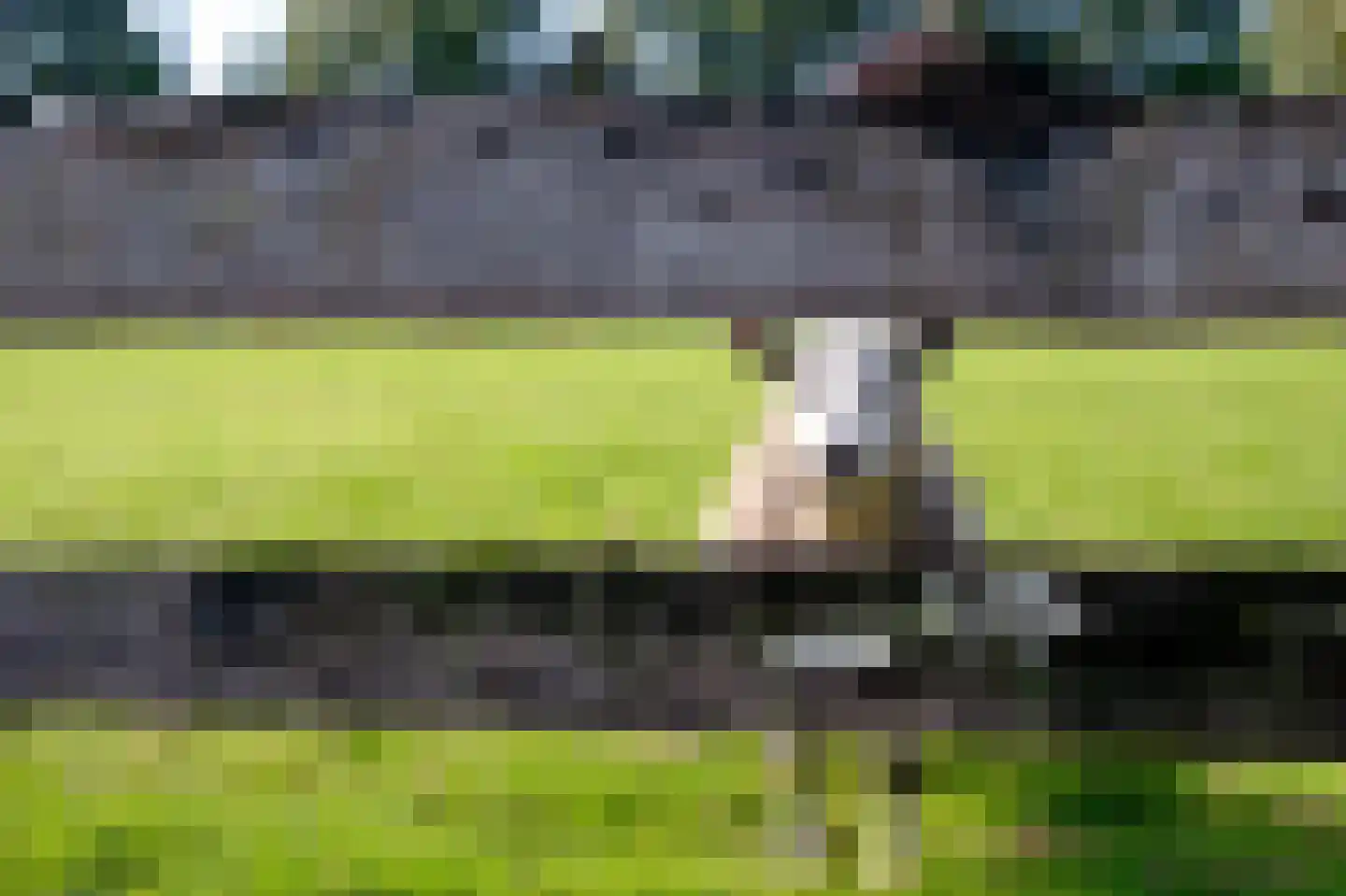 Strenkhaarsweg 9 Lemelerveld thumbnail 81