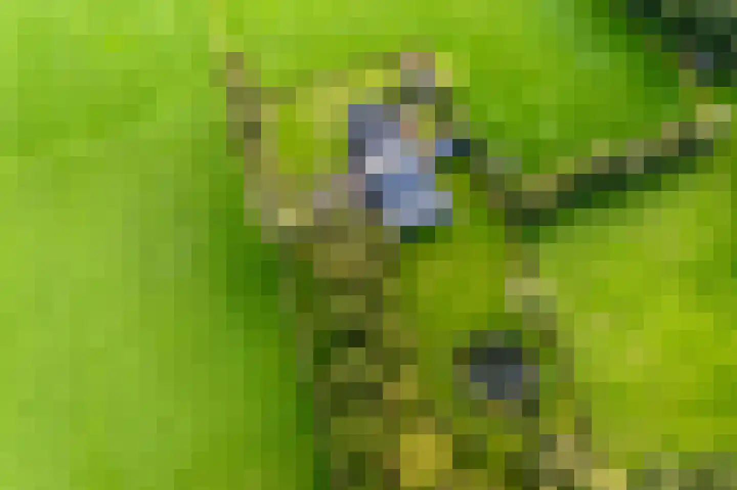 Strenkhaarsweg 9 Lemelerveld thumbnail 83
