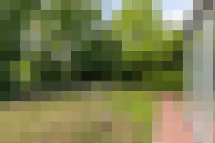 Strensstraat 4 Geleen thumbnail 13