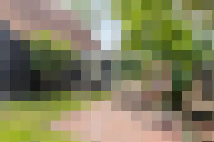 Strensstraat 4 Geleen thumbnail 16