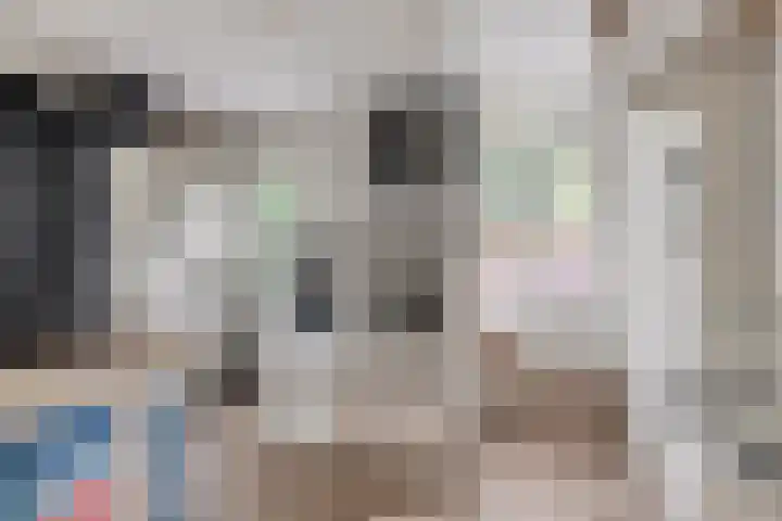 Strensstraat 4 Geleen thumbnail 31