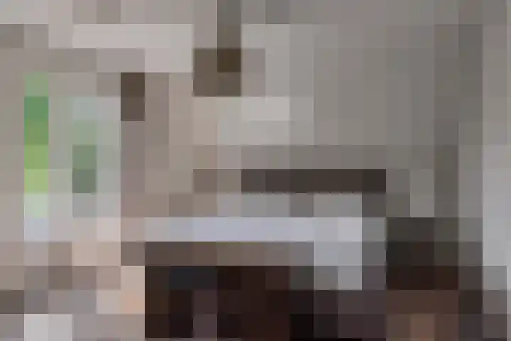 Strensstraat 4 Geleen thumbnail 37