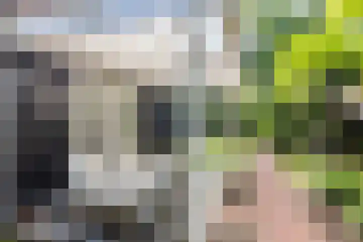 Strensstraat 4 Geleen thumbnail 4