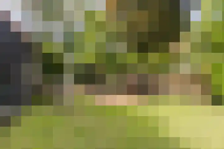 Strensstraat 4 Geleen thumbnail 42