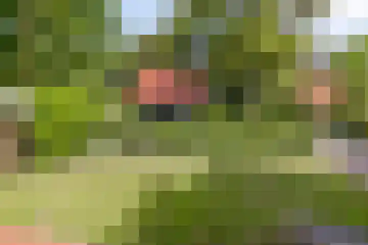 Strensstraat 4 Geleen thumbnail 45