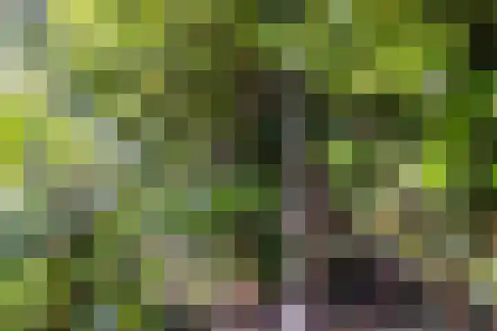 Strensstraat 4 Geleen thumbnail 46
