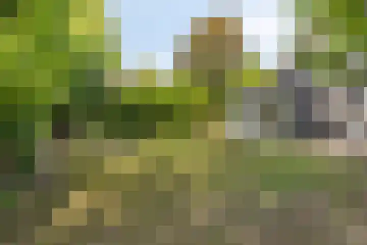 Strensstraat 4 Geleen thumbnail 5