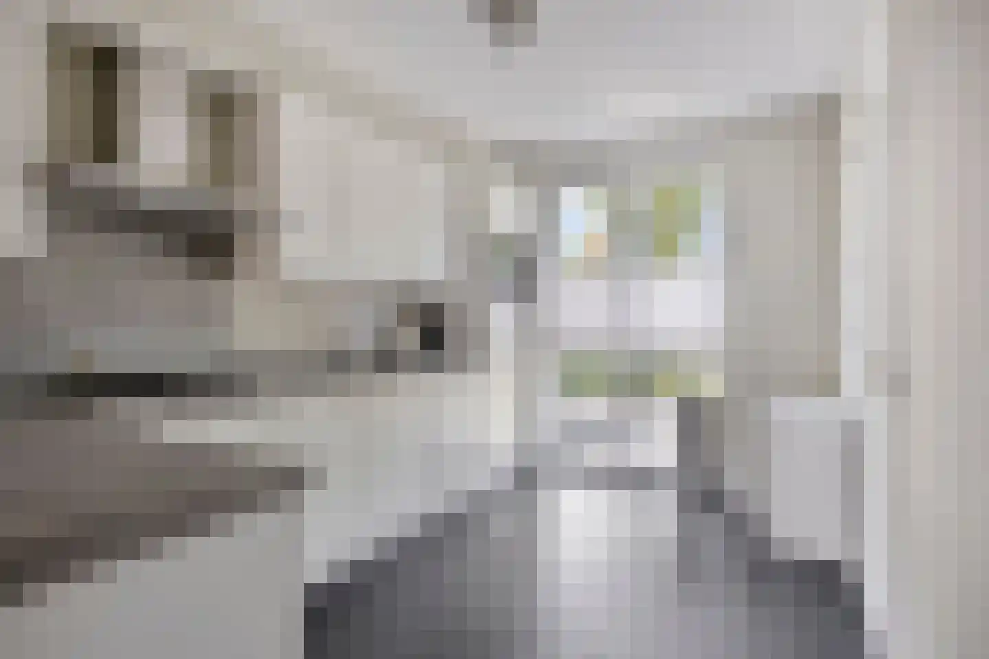 Strepenakker 12 Herpen thumbnail 15
