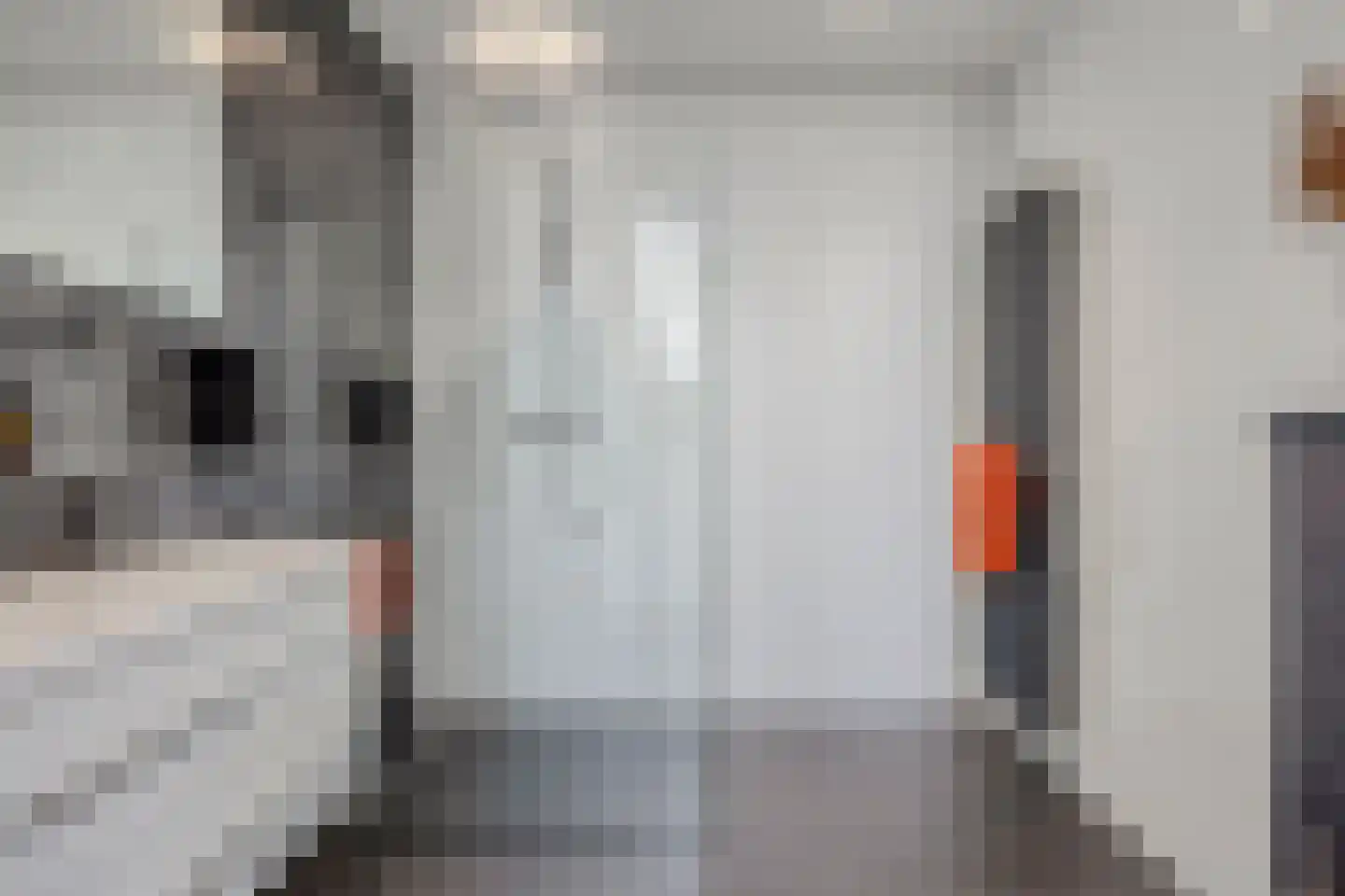 Strepenakker 12 Herpen thumbnail 23
