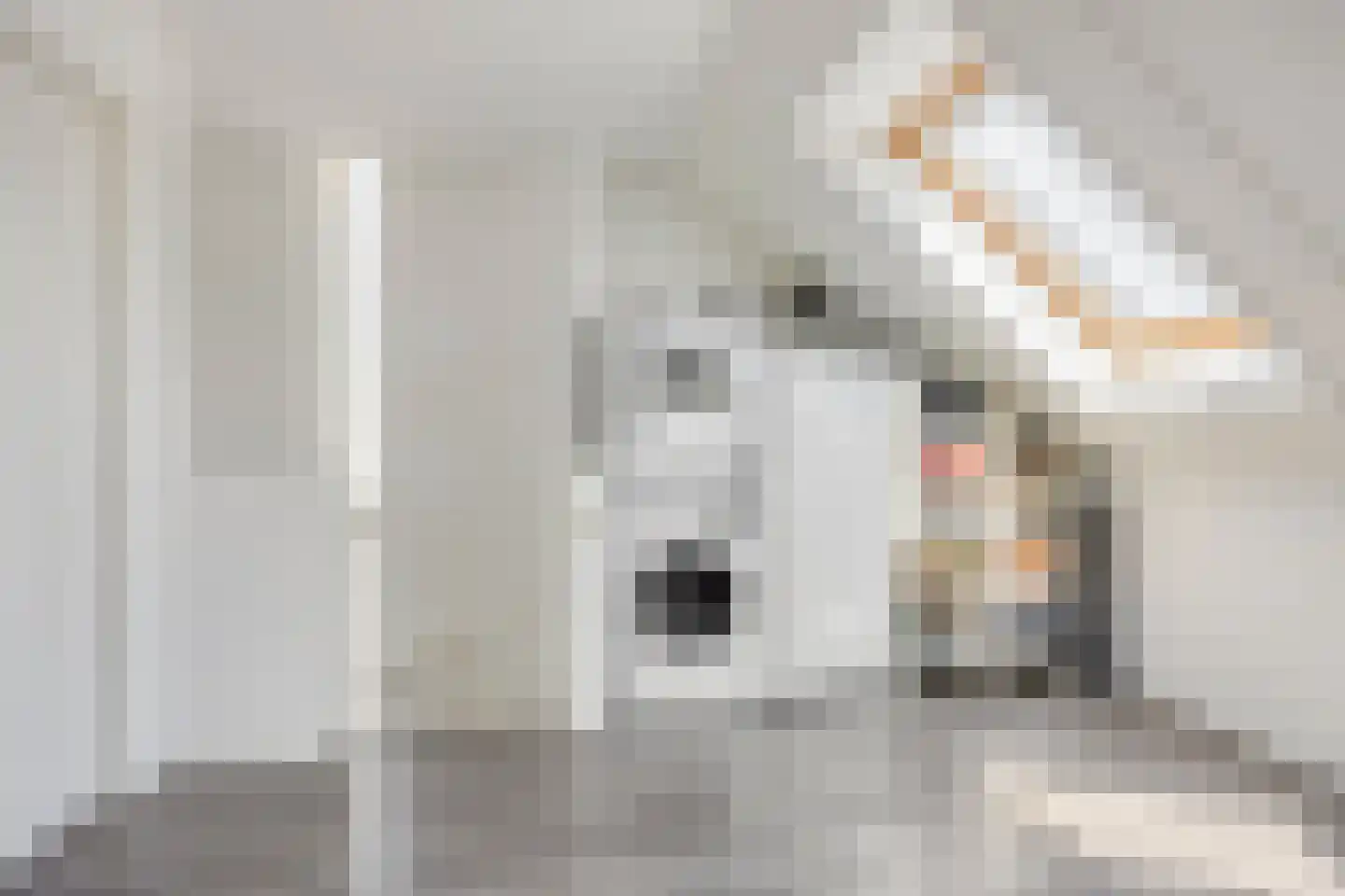Strepenakker 12 Herpen thumbnail 29