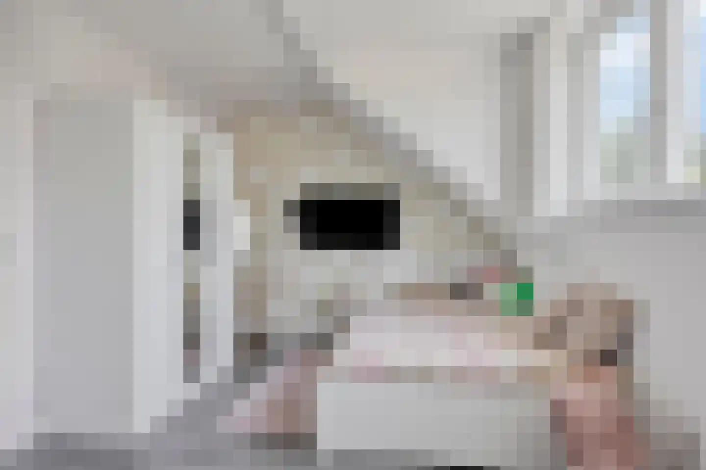 Strepenakker 12 Herpen thumbnail 30