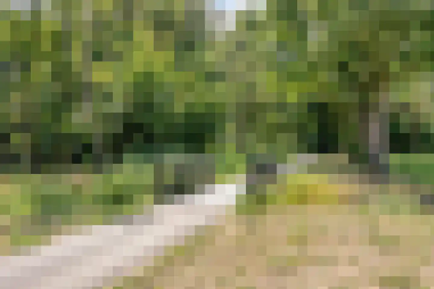 Strepenakker 12 Herpen thumbnail 40