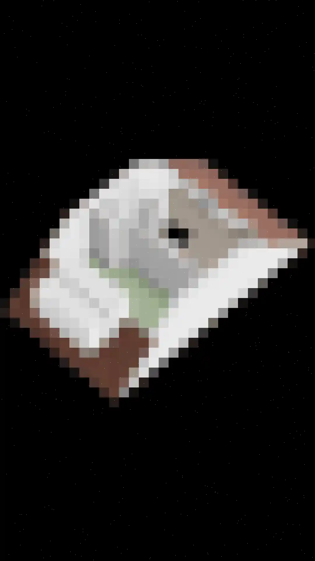 Strepenakker 12 Herpen thumbnail 48