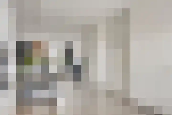 Strepenakker 24 Herpen thumbnail 11