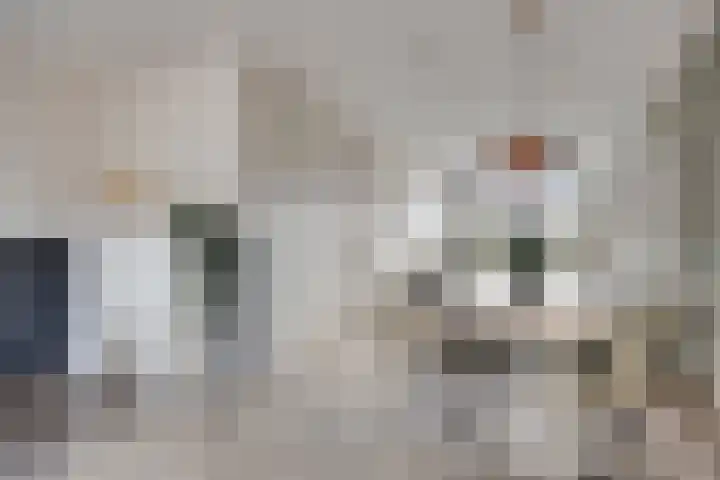 Strepenakker 24 Herpen thumbnail 12
